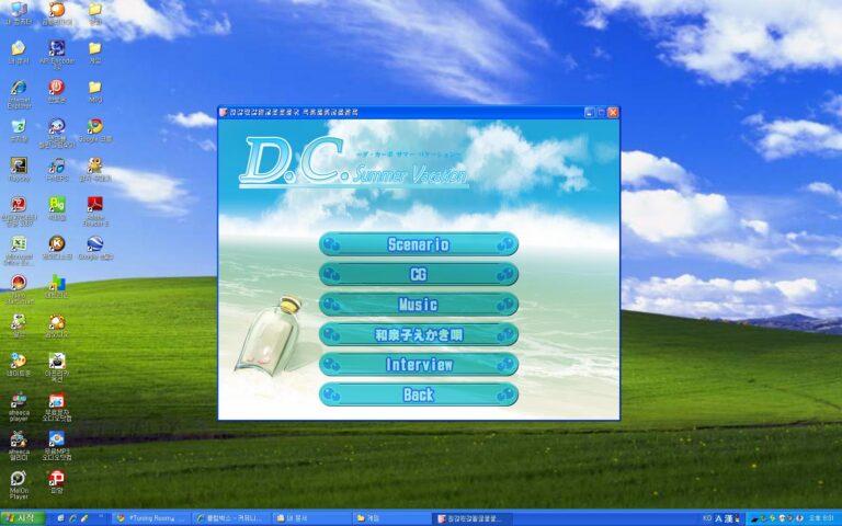 D.C.W.S / D.C.S.V 끝..