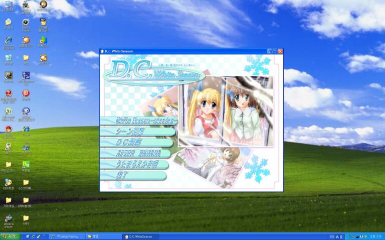 D.C.W.S 시작